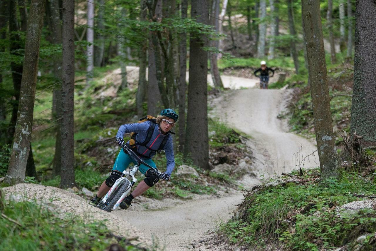 Hôtel Chaletpark Petzen à Feistritz ob Bleiburg Extérieur photo