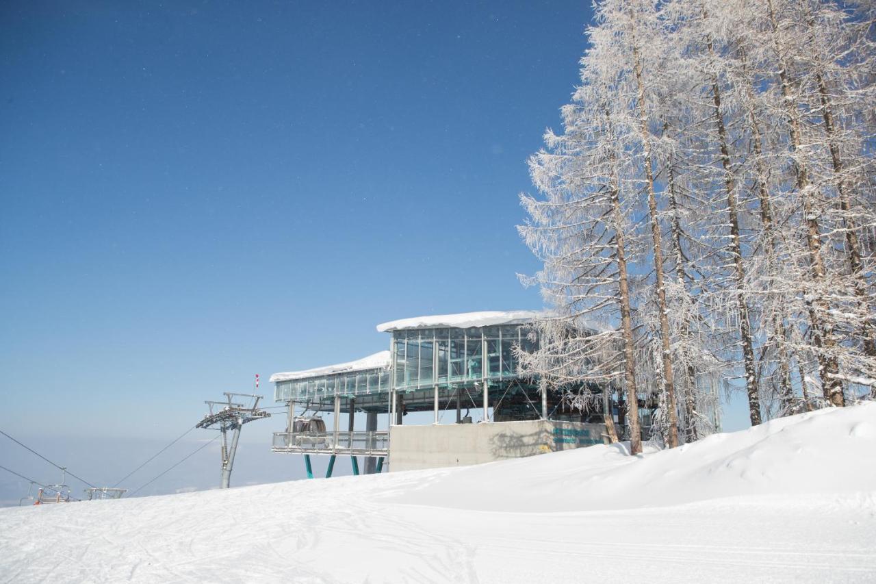 Hôtel Chaletpark Petzen à Feistritz ob Bleiburg Extérieur photo